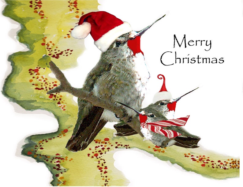 Hummingbird Christmas Cardschristmas Cards Ruby Red Throat | Etsy