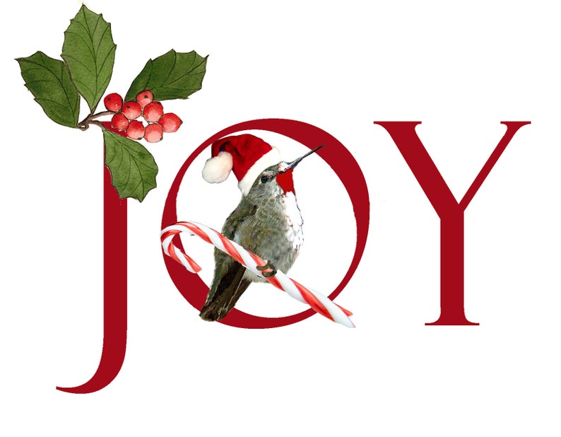Hummingbird Christmas Cards Custom Fantasy Holiday Hummers - Etsy