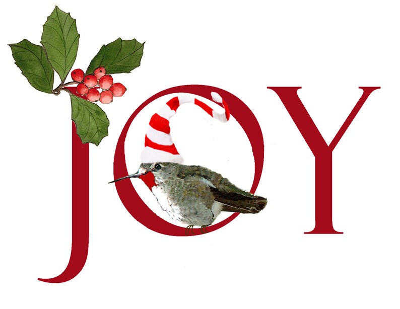 Hummingbird Christmas Cards Custom Fantasy Holiday Hummers - Etsy