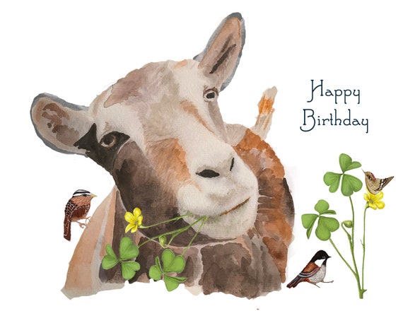 Les 80 Meilleures Humour Joyeux Anniversaire Chevre