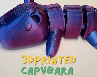 Capibara gigante stampato in 3D