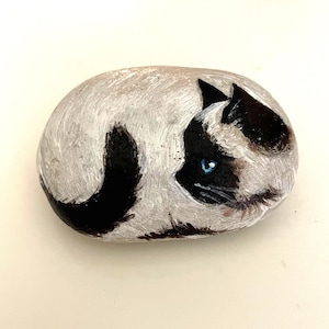 Op de afbeelding: Een gladde, ovaalvormige riviersteen, met de hand beschilderd met een opgerolde Siamees. De kat heeft een crèmekleurig lichaam, donkerbruine oren en gezicht, een zwarte staart en helderblauwe ogen. De penseelstreken zijn zichtbaar op het oppervlak.