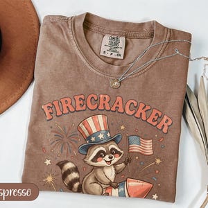 Firecracker Raccoon PNG, Patriotic 4th of July, USA Rocket Sublimation, Uncle Sam Digital Download, Vintage Americana Clipart