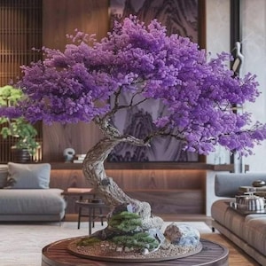 May include: A bonsai tree with a thick, textured, light brown trunk and vibrant purple foliage. The tree is planted in a shallow, circular container filled with small pebbles, green moss, and a gray stone, resting on a round wooden platform.