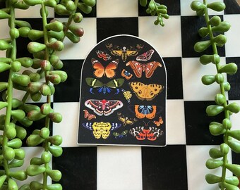 Butterfly Moth Arch Sticker | Vintage Specimen Dark Nature Decal