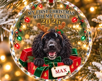 Può includere: Una decorazione natalizia rotonda in acrilico trasparente con un cane nero che indossa corna di renna marroni. Il testo recita MY FIRST CHRISTMAS WITH MY FAMILY 2026. Il cane è seduto in una scatola regalo rossa con un fiocco verde e un'etichetta con scritto MAX.