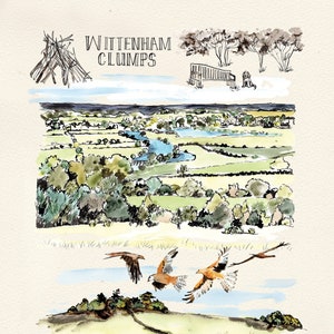 Wittenham Clumps Print