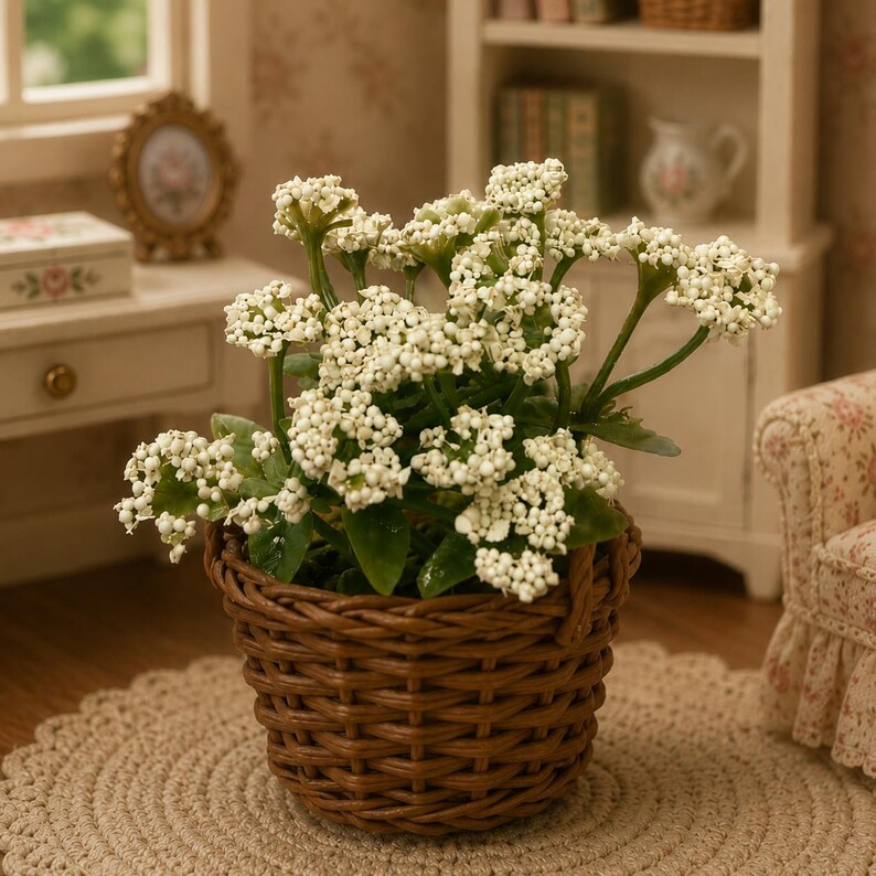 May include: A miniature potted plant featuring clusters of small, white, bead-like flowers with green stems and leaves, housed in a round, brown, woven wicker basket. The plant is displayed in a dollhouse setting with visible green foliage.