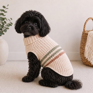 Può includere: Un piccolo cane nero indossa un maglione in maglia color crema con collo alto a coste e strisce orizzontali in verde spento e arancione ruggine sul dorso. Il maglione presenta un motivo a maglia testurizzato e un design senza maniche.