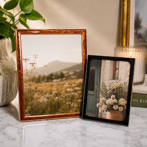 Vintage Faux Tortoiseshell Black Lucite Picture Frames Set | Mid Century Modern Tabletop Photo Frames