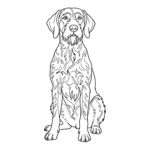 May include: A black and white line drawing of a dog, possibly a Wirehaired Pointing Griffon, in a seated position. The dog has a long snout, drooping ears, and a beard. The dog's body is decorated with a detailed pattern.