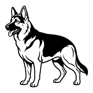 May include: A monochrome illustration of a German Shepherd dog in a standing position. The dog is depicted with a black back and head, and white markings on its chest, legs, and face. The dog's tongue is visible, and it has a friendly expression.