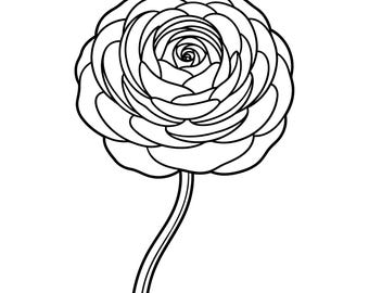 Flor de ranúnculo SVG, Vector de flor de ranúnculo, Archivos de corte SVG de flores, Silueta de flor de ranúnculo, Descarga instantánea