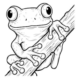 May include: Black and white illustration of a frog perched on a branch. The frog has large, expressive eyes and is smiling. The branch is textured with visible wood grain, and the frog's hands and feet are detailed.
