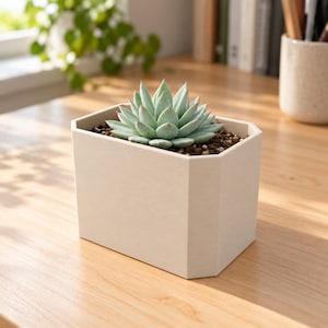 Slab Planter, Rectangular Succulent Pot with Drainage, Modern 3D Printed Geometric Plant Pot