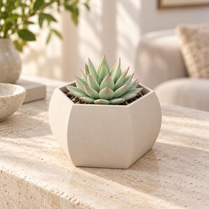 May include: A light green succulent plant with pointed leaves tipped in pink, potted in a matte off-white hexagonal planter. The plant is centered in the frame, showcasing its symmetrical rosette shape and the smooth, textured surface of the container.