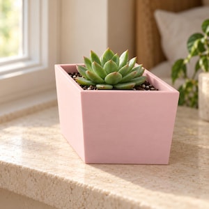 May include: A light pink rectangular planter containing a green succulent plant with pointed leaves. The planter has a smooth, matte finish and holds dark soil mixed with small white pebbles around the base of the succulent.