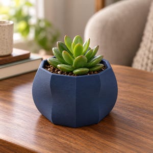 May include: A dark blue hexagonal planter with a matte, textured finish containing a green succulent plant. The succulent has thick, fleshy, rounded leaves arranged in a rosette pattern, planted in dark brown soil within the geometric pot.