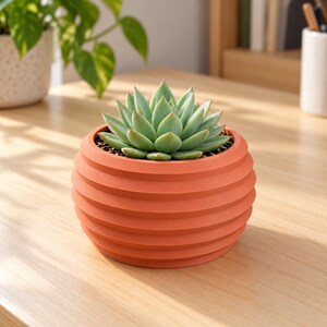 May include: A light green succulent plant potted in a round, terracotta-colored planter with a ribbed, horizontal texture. The planter features a series of stacked, circular ridges that create a distinct, layered appearance around the exterior.