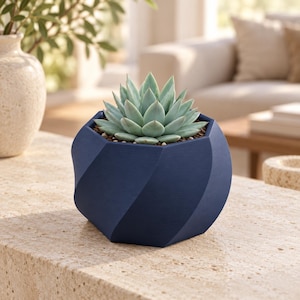 May include: A small, light green succulent plant is potted in a dark blue, geometric planter. The planter features a distinct, spiraling, faceted design with a matte finish. The succulent has pointed, fleshy leaves arranged in a tight rosette pattern.