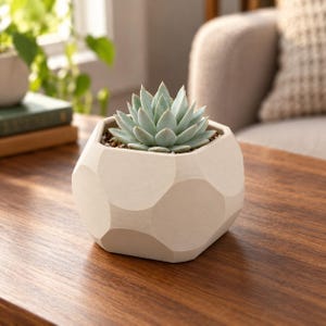May include: A light green succulent plant potted in a matte off-white geometric planter. The planter features a faceted, multi-sided exterior design with a smooth finish, holding the small, pointed-leaf plant securely in place.
