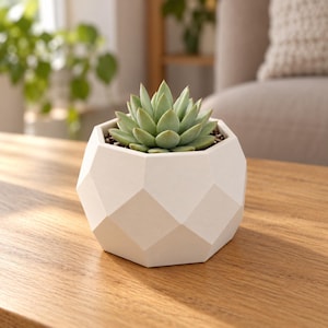 May include: A light green succulent plant potted in a white, matte-finished planter with a faceted, geometric, multi-sided exterior design. The plant features tightly packed, pointed leaves arranged in a symmetrical rosette pattern.