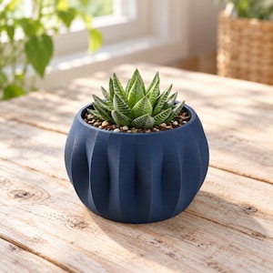 May include: A small, dark blue, round planter with a vertically ribbed, textured surface. The planter contains a green succulent plant with pointed, striped leaves growing in a soil mixture with small pebbles visible at the base.