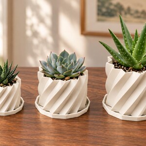 May include: Three white planters with a spiraling, ribbed exterior design, each resting on a matching circular saucer. The planters contain different green succulents, including a spiky Haworthia, a rosette-shaped Echeveria, and an Aloe plant.