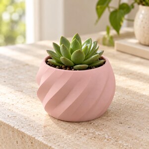 May include: A light pink planter with a spiraling, ribbed texture containing a green succulent plant. The round pot features a matte finish and holds the plant securely in dark soil, creating a simple and clean display for the greenery.