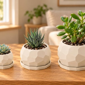 May include: Three white ceramic planters with a geometric faceted surface, each resting on a matching circular saucer. The pots contain different green succulents, ranging from a small rosette to a larger jade plant with thick leaves.