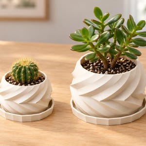 May include: Two white, spiraled, geometric planters with matching saucers. The smaller planter holds a round, green cactus with yellow spines. The larger planter contains a green succulent with thick, oval-shaped leaves.