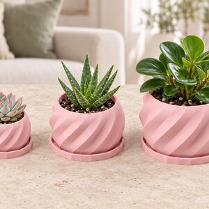 May include: Three light pink planters with a spiraled, ribbed exterior design and matching circular saucers. Each planter holds a different green plant, including a small succulent, an aloe vera, and a leafy green plant with rounded leaves.