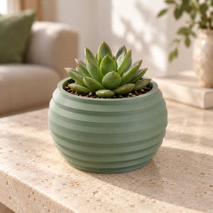May include: A sage green, spherical planter with horizontal ribbed detailing, containing a single, fleshy, pointed-leaf succulent plant. The planter has a smooth, matte finish and a wide, circular opening filled with dark potting soil.