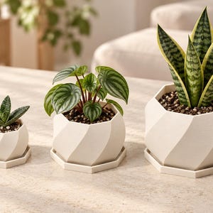 May include: Three off-white, geometric, spiral-patterned planters of varying sizes, each with a matching saucer. The smallest holds a succulent, the middle a Peperomia, and the largest a snake plant, all potted in dark soil.