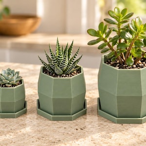 May include: Three sage green, geometric, faceted planters of varying sizes, each with a matching saucer. The planters contain different succulent plants, including a small rosette succulent, a striped Haworthia, and a larger jade plant.