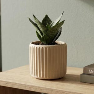 May include: A small snake plant with dark green, pointed leaves potted in a cylindrical, cream-coloured planter. The planter features a vertical ribbed texture along its exterior surface and contains dark soil visible around the base of the plant.