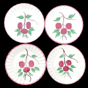 May include: A set of four round white ceramic plates with a scalloped edge rimmed in pink. Each plate features a central hand-painted illustration of a brown branch with three red fruits and several green leaves arranged in a cluster.