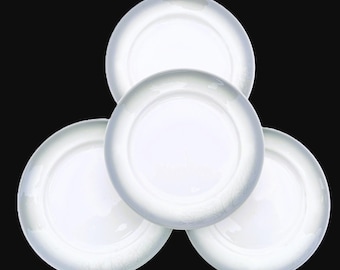 SPECIAL FOR SHERRY! Set of 6 Homer Laughlin 9.5" Light Grey Airbrushed Rimmed Dinner Plates & 4 Matching Buffalo 8.5" x 5.5" Oval Platters