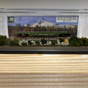 May include: A model train display in a clear plastic case. The display features a green flat car with side mount break wheel, set against a backdrop of a mountain scene. Miniature trees, rocks, and foliage are arranged around the train, creating a diorama.