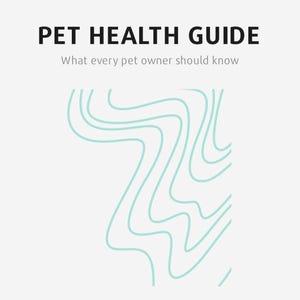 Hunde Erbrochenes Ratgeber: Tierisch zertifizierte Tierpflege Ebook (PDF Download)