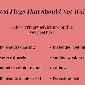 May include: A salmon-colored informational sign with black text titled Red Flags That Should Not Wait. It lists veterinary symptoms including repeated vomiting, severe diarrhea, blood in vomit or stool, refusal to drink or eat, distended abdomen, sudden weakness, collapse, and persistent pain.