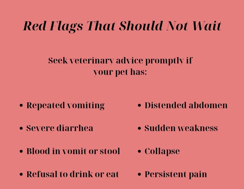 May include: A salmon-colored informational sign with black text titled Red Flags That Should Not Wait. It lists veterinary symptoms including repeated vomiting, severe diarrhea, blood in vomit or stool, refusal to drink or eat, distended abdomen, sudden weakness, collapse, and persistent pain.