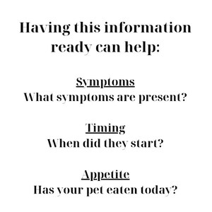 May include: A white informational graphic with black text that reads: Having this information ready can help: Symptoms, What symptoms are present? Timing, When did they start? Appetite, Has your pet eaten today? The text is organized in a list format.