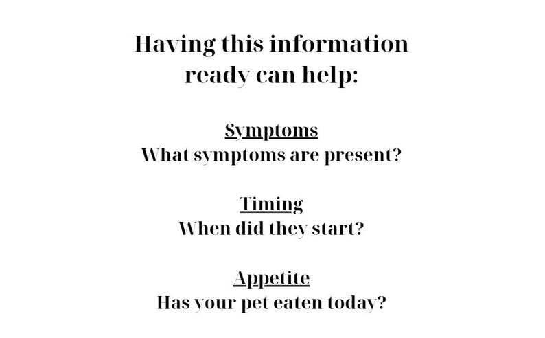 May include: A white informational graphic with black text that reads: Having this information ready can help: Symptoms, What symptoms are present? Timing, When did they start? Appetite, Has your pet eaten today? The text is organized in a list format.