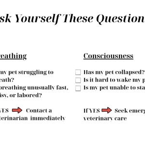 May include: A white informational sign with black text titled Ask Yourself These Questions. It lists two categories, Breathing and Consciousness, with checkboxes and questions regarding pet health, ending with instructions to contact a veterinarian.