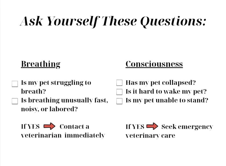 May include: A white informational sign with black text titled Ask Yourself These Questions. It lists two categories, Breathing and Consciousness, with checkboxes and questions regarding pet health, ending with instructions to contact a veterinarian.