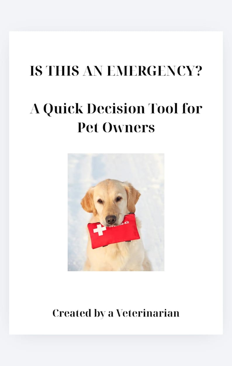 May include: A white informational card with the black text IS THIS AN EMERGENCY? A Quick Decision Tool for Pet Owners and Created by a Veterinarian. The center features a golden retriever holding a red first aid kit with a white cross.