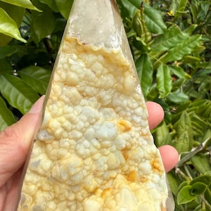 Cream Druzy Agate Statement Point - Natural Botryoidal Formation