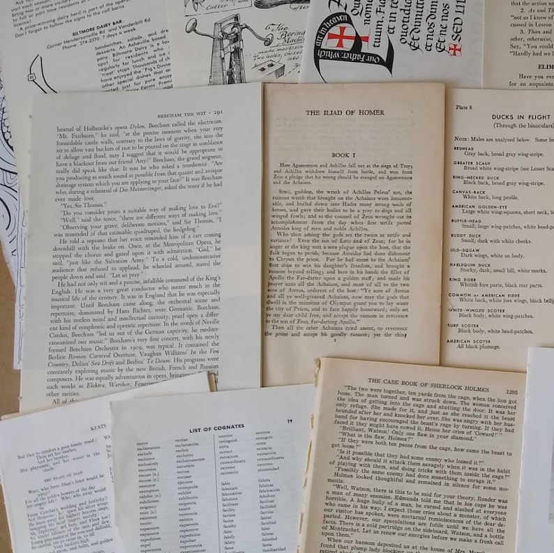 Vintage Book Pages Mixed Lot