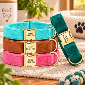 May include: Four velvet pet collars in turquoise, brown, pink, and dark green. Each collar features a gold-tone metal buckle engraved with a name and phone number, including Bobby 812-345-6789, Tony 812-345-6789, Linda 812-345-6789, and Bella 812-345-6789.